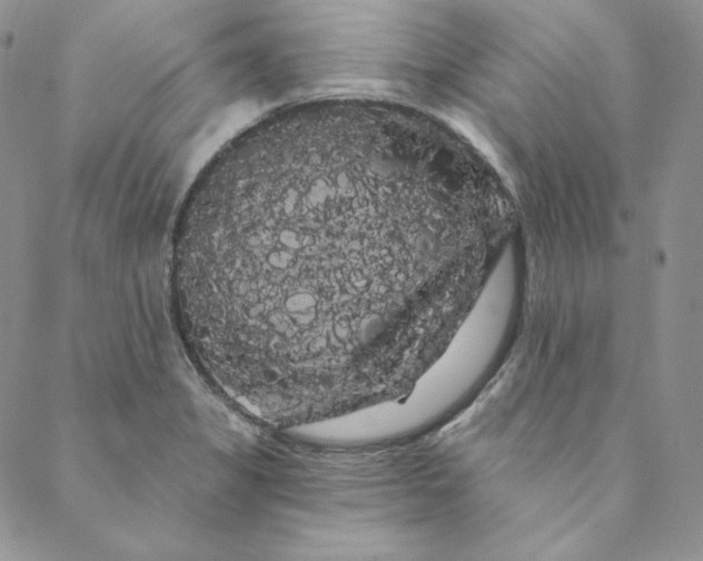 X0000088591325200706081318