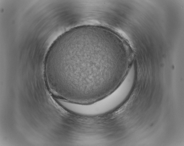 X0000088591326200706081318