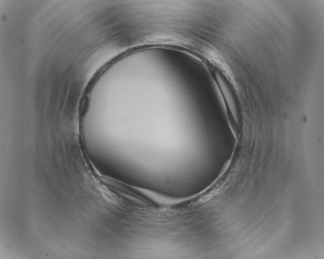 X0000088591328200706081318