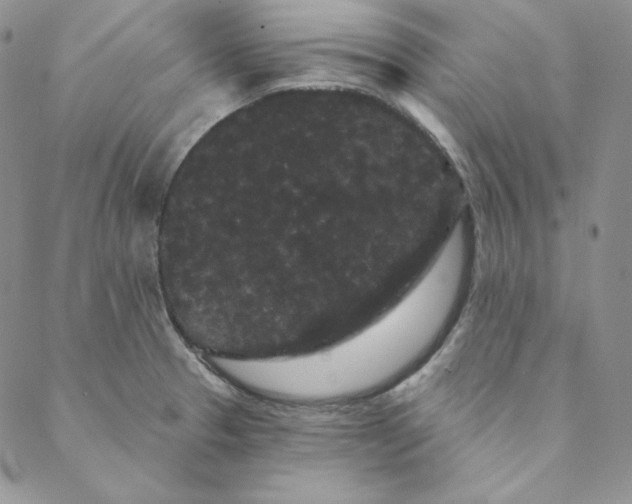 X0000088591329200706081318