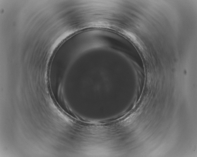 X0000088591331200706081318