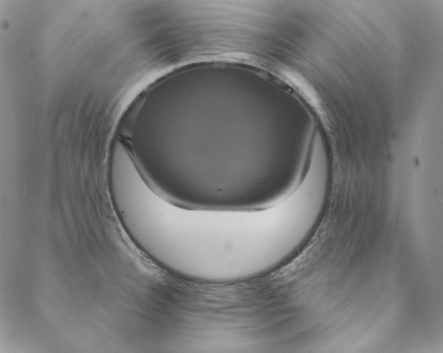 X0000088591332200706081318