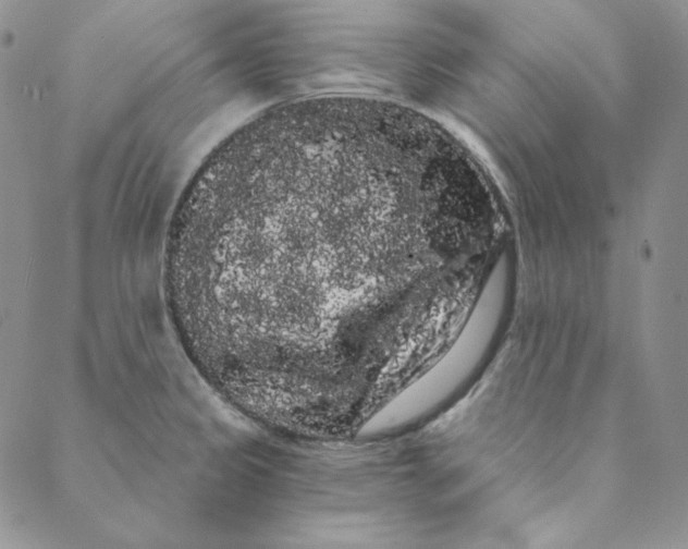 X0000088591333200706081318