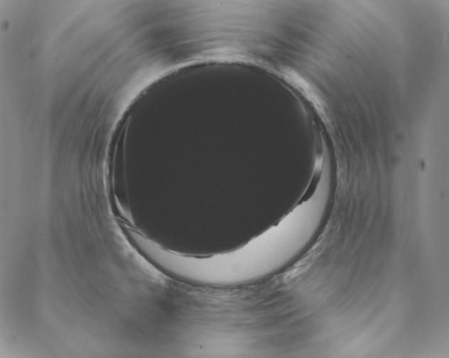 X0000088591334200706081318