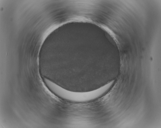 X0000088591335200706081318