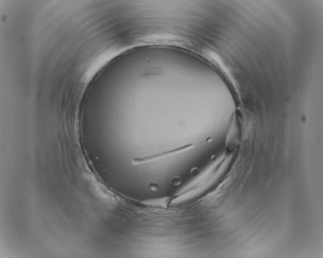 X0000088591336200706081318