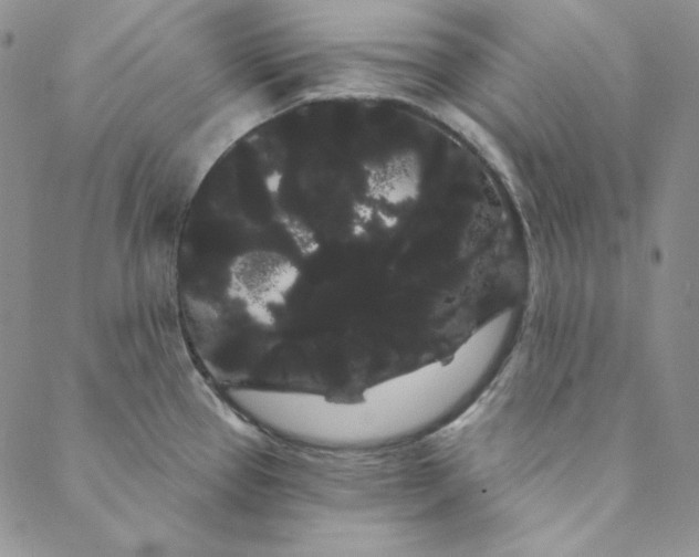 X0000088591337200706081318