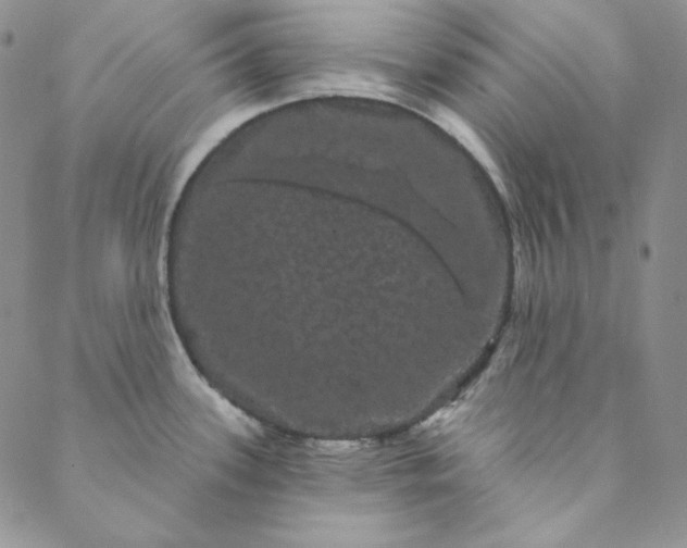 X0000088591339200706081318