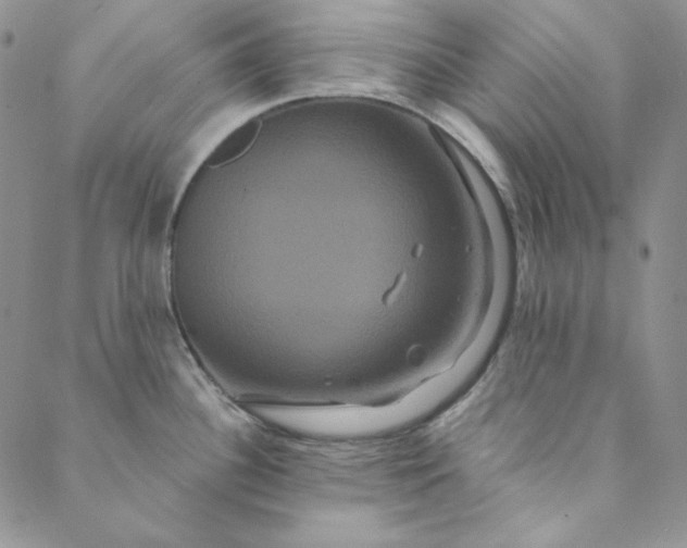 X0000088591340200706081318