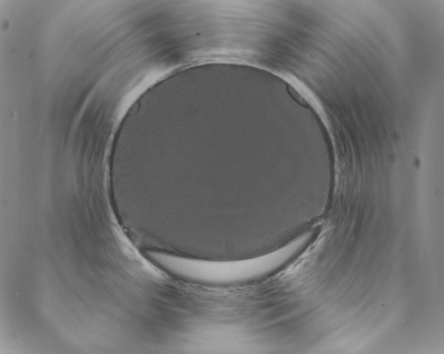 X0000088591341200706081318