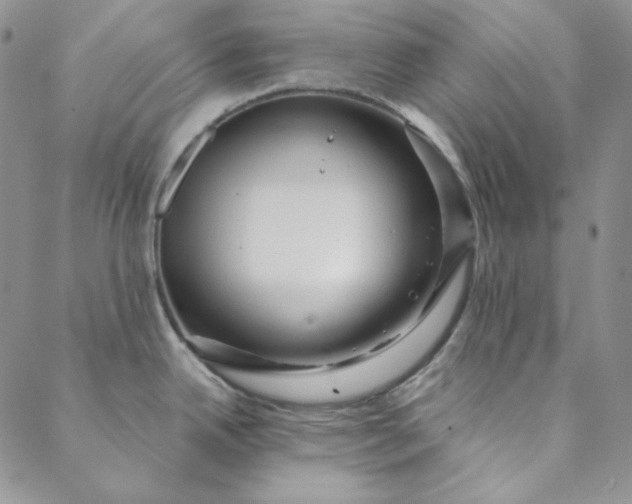 X0000088591342200706081318