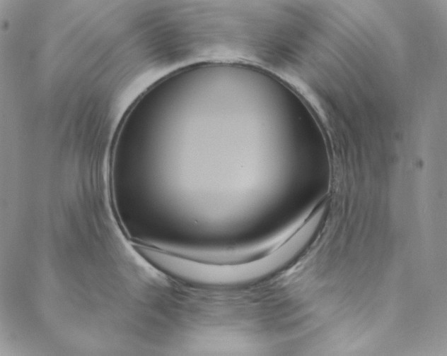 X0000088591343200706081318