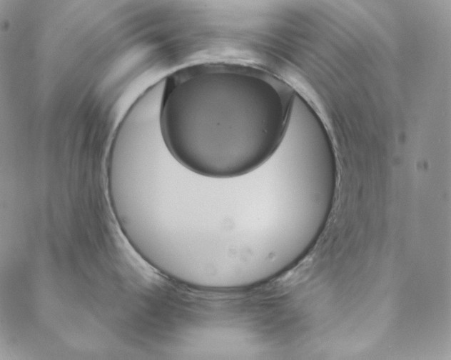 X0000088591344200706081318