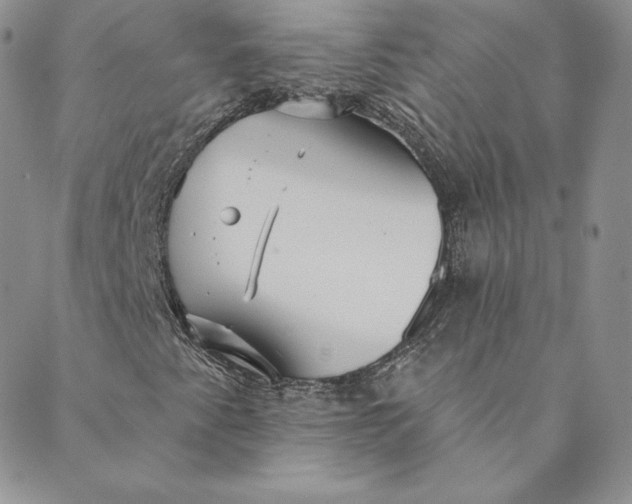 X0000088591345200706081318