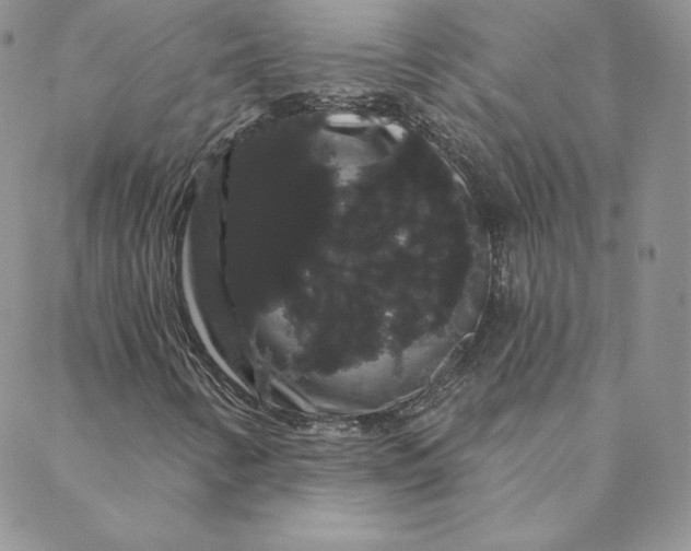 X0000088591346200706081318