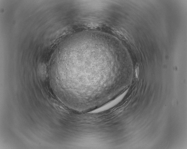 X0000088591347200706081318