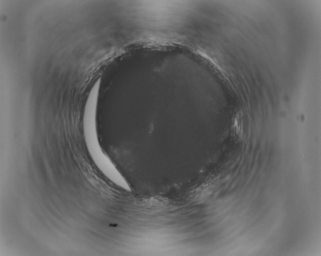 X0000088591348200706081317