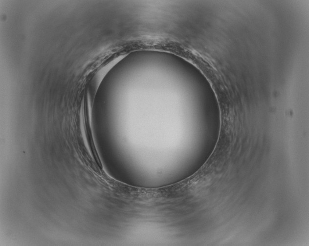 X0000088591349200706081317