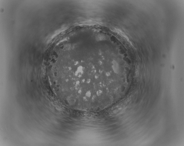 X0000088591350200706081317