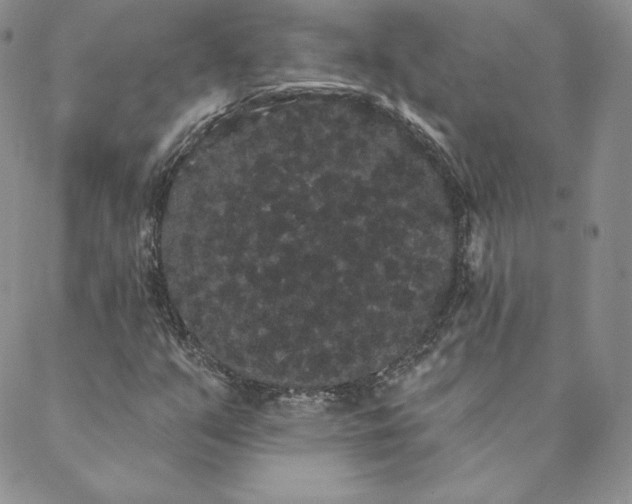 X0000088591351200706081317