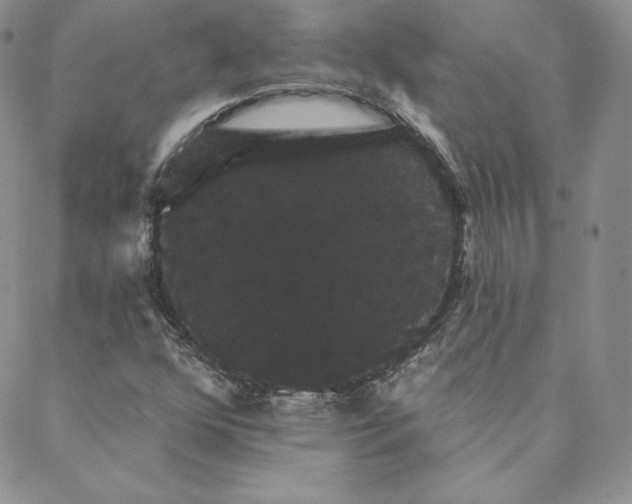 X0000088591352200706081317