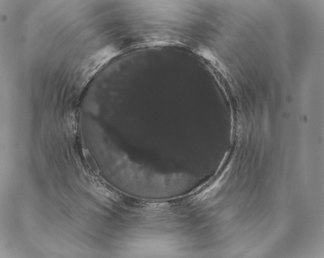 X0000088591353200706081317