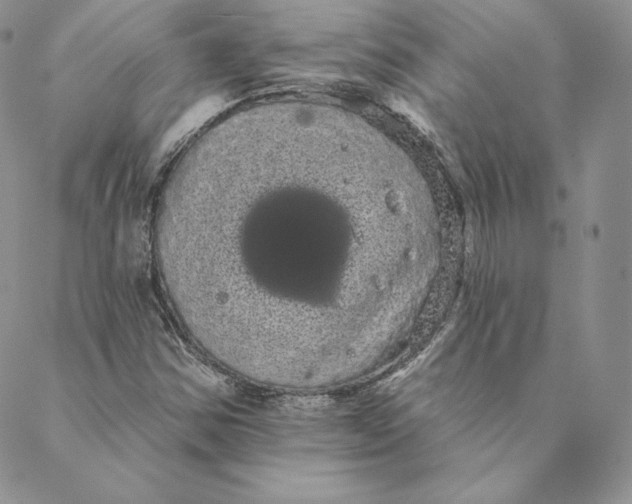 X0000088591354200706081317