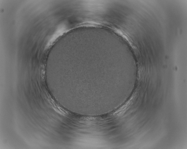 X0000088591355200706081317