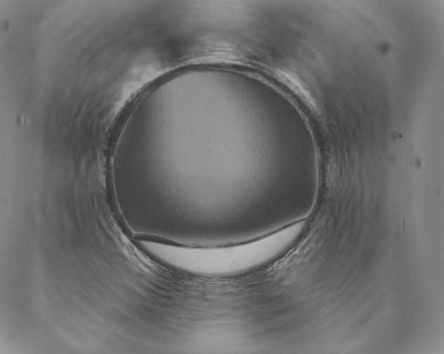 X0000088591356200706081317