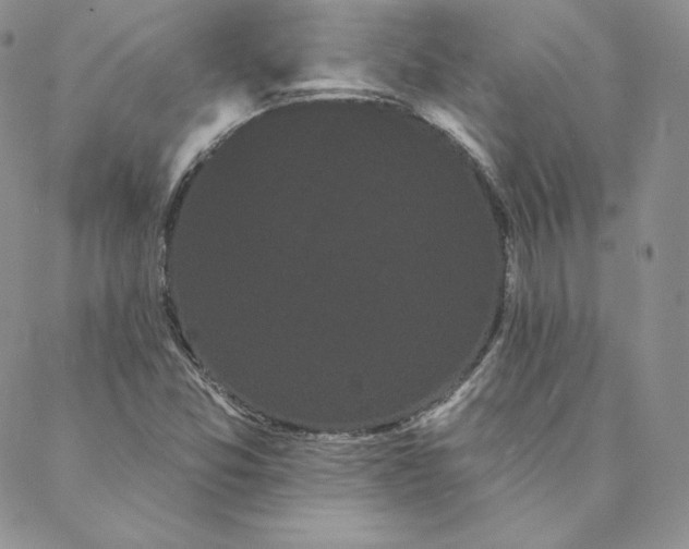 X0000088591357200706081317