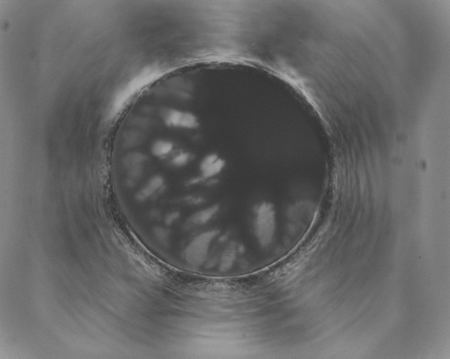 X0000088591359200706081317