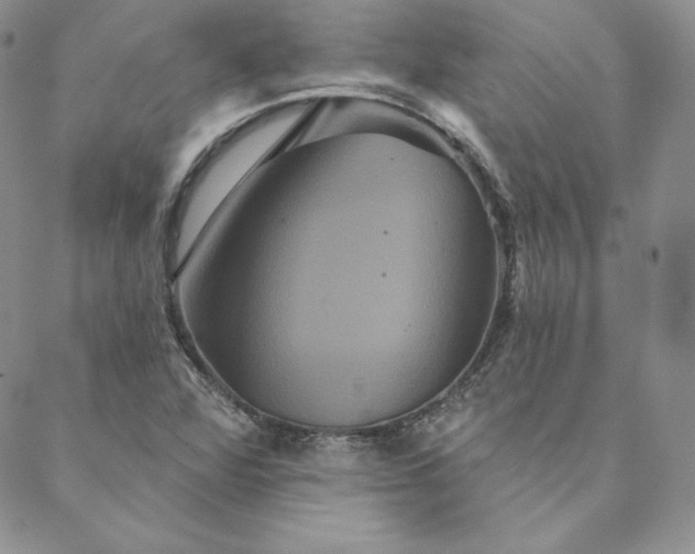 X0000088591360200706081317