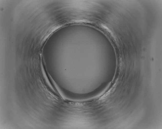 X0000088591361200706081317