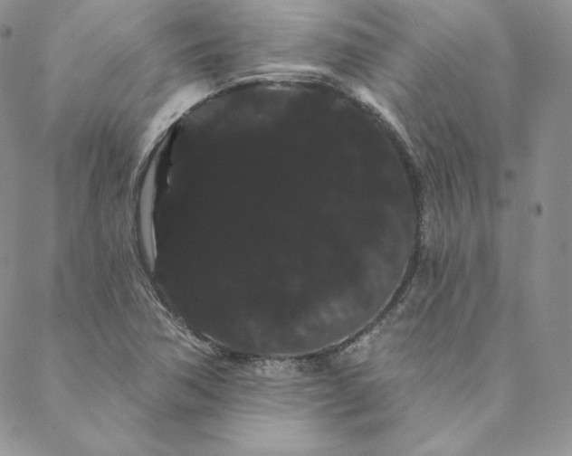 X0000088591362200706081317