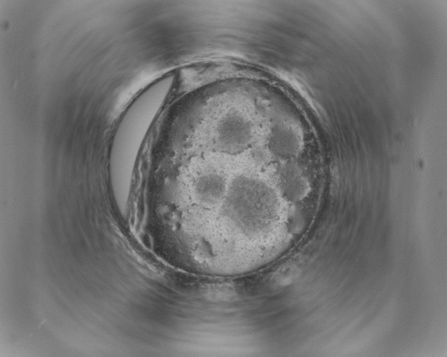 X0000088591363200706081317