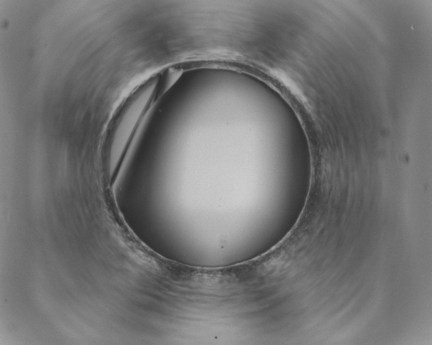 X0000088591364200706081317