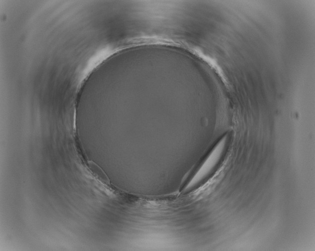 X0000088591365200706081317