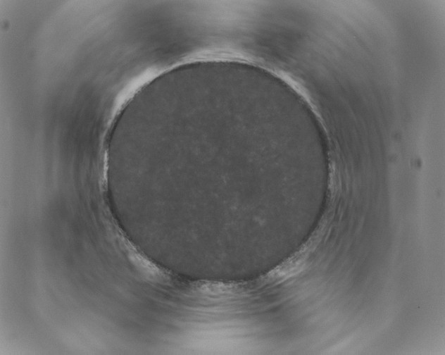 X0000088591366200706081317