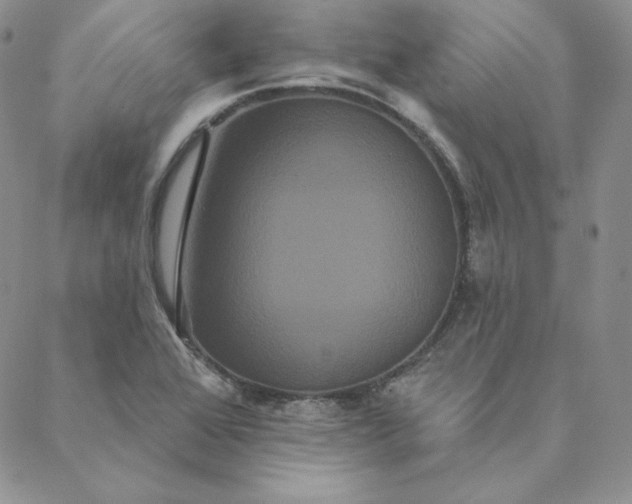 X0000088591368200706081317