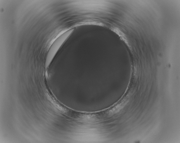 X0000088591369200706081317