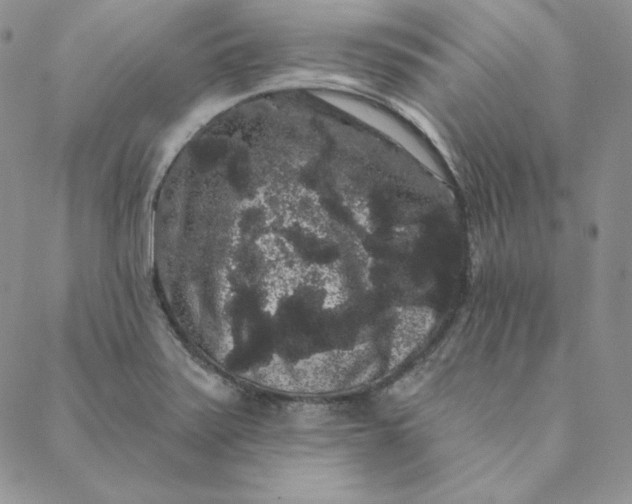 X0000088591371200706081317