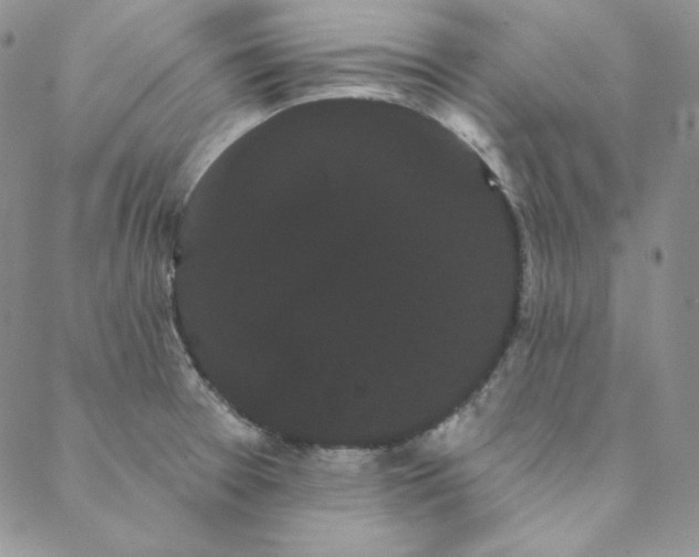 X0000088591377200706081317