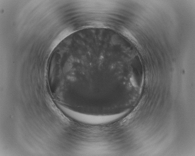 X0000088591378200706081317