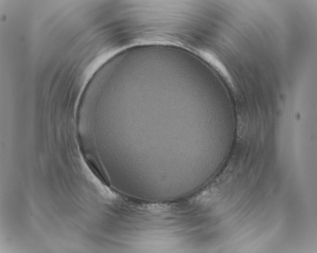 X0000088591380200706081317