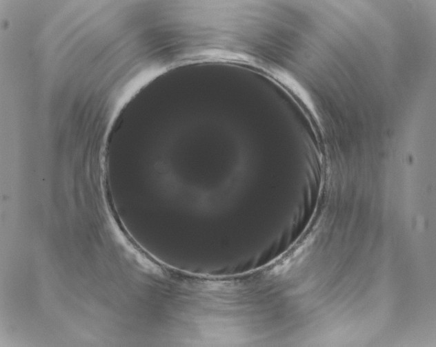 X0000088591381200706081317