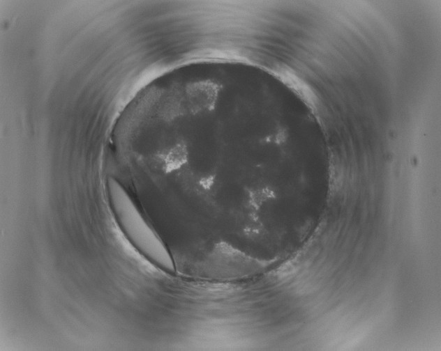 X0000088591382200706081317