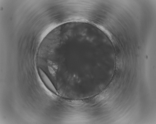 X0000088591383200706081317