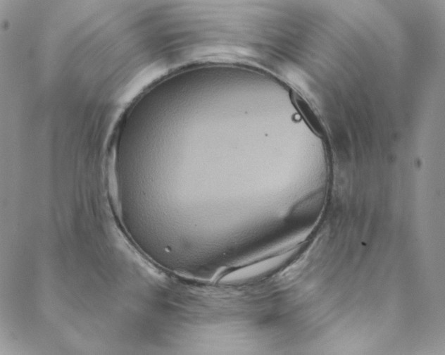 X0000088591384200706081317