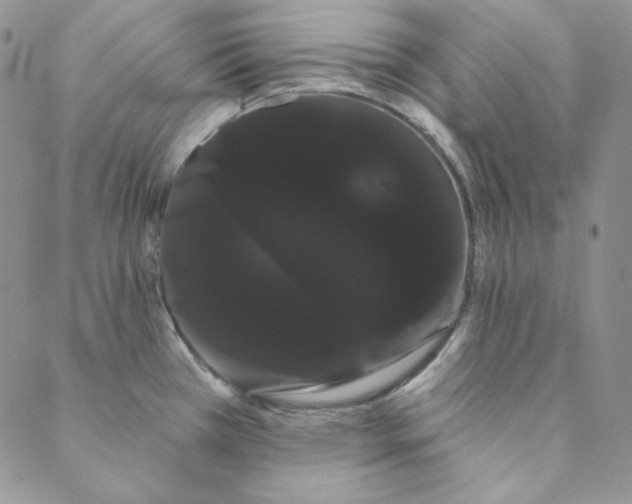 X0000088591385200706081317