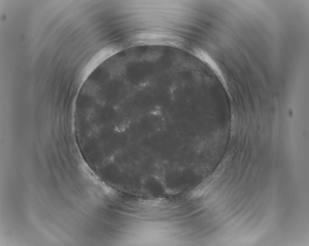 X0000088591386200706081317